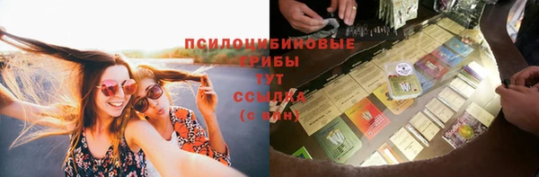 2c-b Беломорск