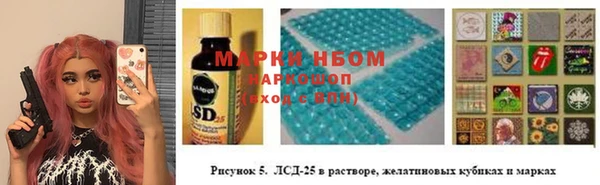 сатива Ельня