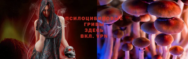 2c-b Беломорск