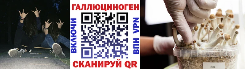 купить наркотик  Сердобск  omg онион  Галлюциногенные грибы ЛСД 
